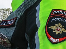 ГИБДД не оштрафовало проехавшего в кресле на крыше машины сибиряка