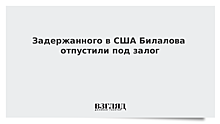 Задержанного в США Билалова отпустили под залог