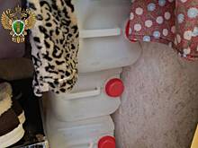 Появились подробности массового отравления в Ленинградской области