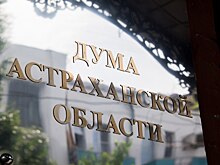 Депутаты Областной Думы приняли в двух чтениях проект закона о налоге на профессиональный доход