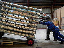 Berlingske (Дания): восточные соперники точат зуб на лидерство Дании