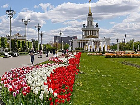 Цикл оздоровительно-просветительских прогулок пройдет в Москве