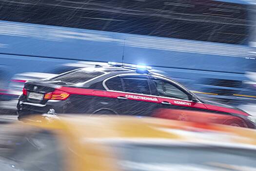 Бастрыкин потребовал доклад о массовой драке 40 мужчин со стрельбой в Подольске