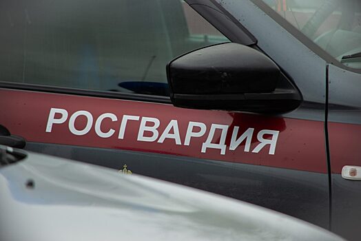 В Пензе во время драки дебоширы повредили имущество магазина