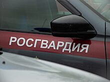 В Пензе во время драки дебоширы повредили имущество магазина