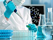 Пересадка сетчатки с клетками iPS оказалась эффективной