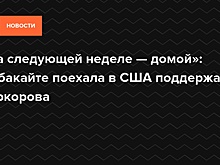 Представитель Орбакайте объяснил причину слухов о её эмиграции в США