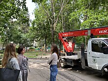 В Городском округе Пушкинский приступили к спилу сухих деревьев