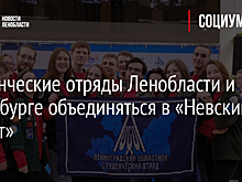 Студенческие отряды Ленобласти и Петербурге объединяться в «Невский десант»