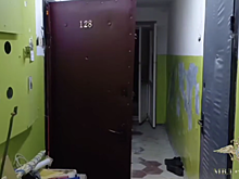 ТАСС: в Смоленске задержали сожительницу подозреваемого в похищении девочки