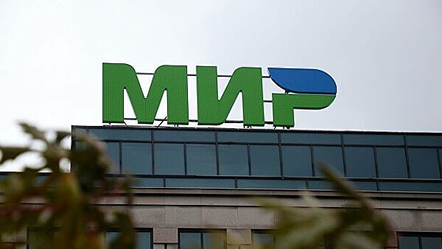 Медведев выступил за использование карт "Мир" в Таиланде