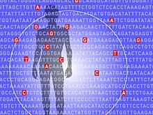 Ученые учатся предсказывать болезни