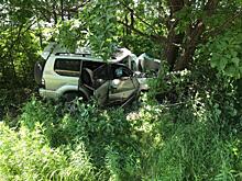 Уснул за рулем и въехал в дерево: в Приморье водитель устроил ДТП, в котором пострадал ребенок