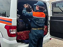 В лесу Сковородинского района продолжаются поиски пропавшего мужчины