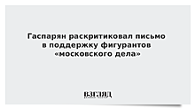 Гаспарян раскритиковал письмо в поддержку фигурантов «московского дела»
