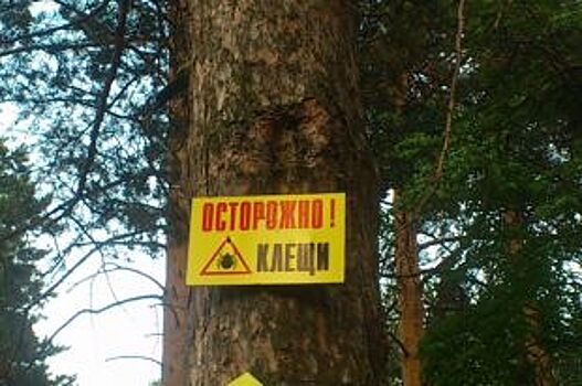 В Пермском крае клещи покусали 660 человек