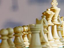 Открытый онлайн-турнир по шахматам проведет один из филиалов учреждения «Центр»