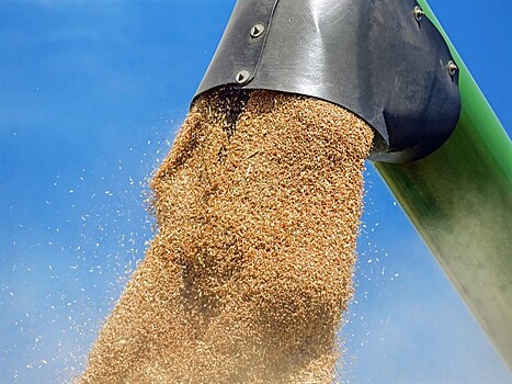 В Оренбуржье за полгода предотвратили оборот 70 тысяч тонн некачественного зерна и круп