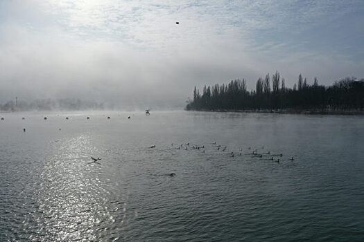 В Шарыповском районе двух жителей обязали убрать заборы у озера Большое