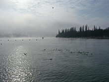 В Шарыповском районе двух жителей обязали убрать заборы у озера Большое