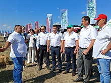 В Волгоградской области обсудили предстоящую осеннюю посевную кампанию