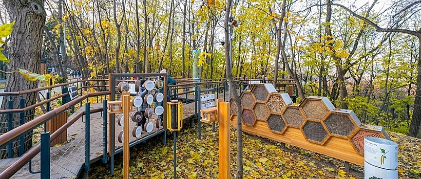 В Москве на Аллее спортивной славы появилась новая экоплощадка