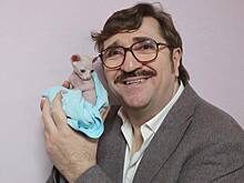 «Массажный салон, психолог и джакузи»: в каких условиях живут кошки и собаки на новом телешоу Валерия Комиссарова