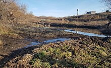 "Бобров у нас в Татарстане действительно развелось": жители Черемшанского района жалуются на подтопление