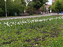 Жители Самарской области могут подать заявку на участие в программе "Народный бюджет"