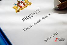 «Что ж мы как пещерные люди!» Свердловские депутаты со скрипом одобрили поправки в бюджет