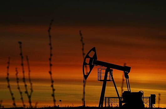 В России предложили способ получать больше денег с нефти