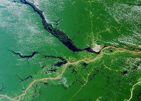 Бассейну Амазонки предрекли скорое уничтожение