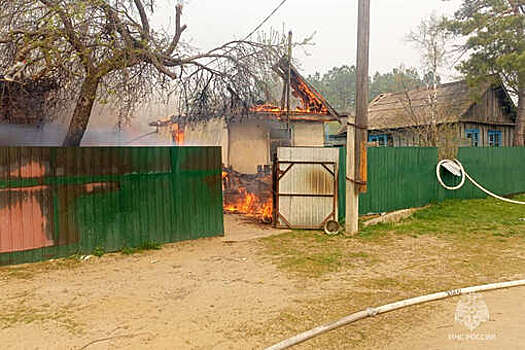 В Амурской области дети сожгли дом своего дяди и сарай с животными