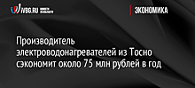 Производитель электроводонагревателей из Тосно сэкономит около 75 млн рублей в год