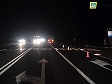 Пешеход погиб в Лысковском районе после наезда фуры