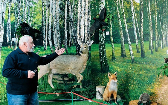 При поддержке бизнеса в Кошкинском районе реализуют уникальные социально-культурные и экологические проекты