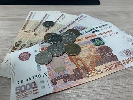 Собственник земли в Истринском горокруге оштрафован на 200 тыс рублей