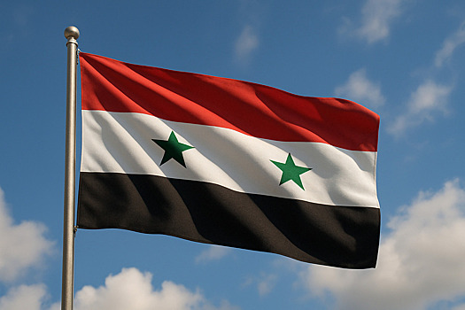 Начата спецоперация против террористов после атаки на патруль в Пальмире