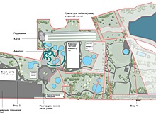 В Красноярске в развитие общественного пространства парка «Прищепка» вложат 500 млн рублей