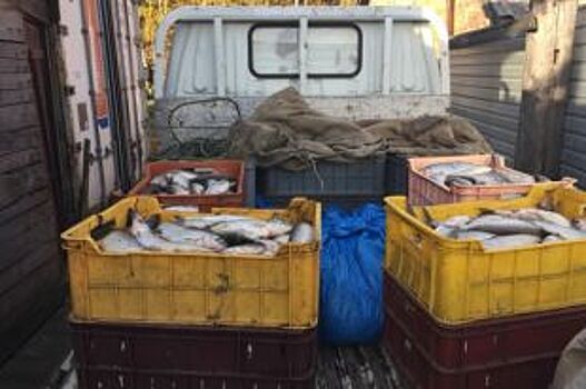 230 кг байкальского омуля изъяли у водителя в Слюдянском районе