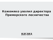Кожемяко уволил директора Приморского лесничества