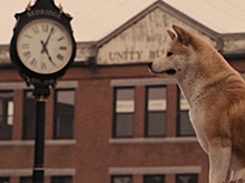 Ольга Королева: "На фильме "Хатико" в нашей семье стоит табу"