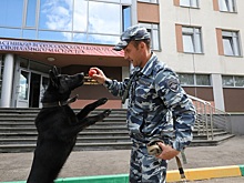 Всероссийский конкурс МВД среди кинологов открылся в Нижнем Новгороде