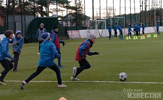 В Курске проверили состояние футбольных площадок