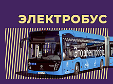Что такое электробус и вредит ли такой транспорт экологии. Объясняем простыми словами