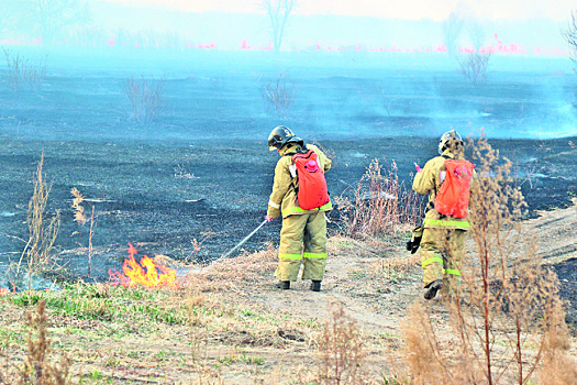 Как в Приамурье собираются бороться с лесными пожарами?