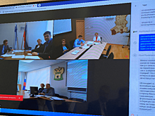 Торгпредство России в Финляндии провело вебинар для экспортеров Карелии