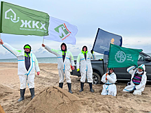 Управляющая компания из Пушкина присоединилась к уборке анапского пляжа и отмыванию птиц