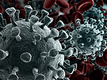 Мужское бесплодие может стать последствием коронавируса