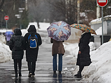 Перечислены способы не слечь с гриппом перед Новым годом